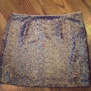 Sequin Skirt
